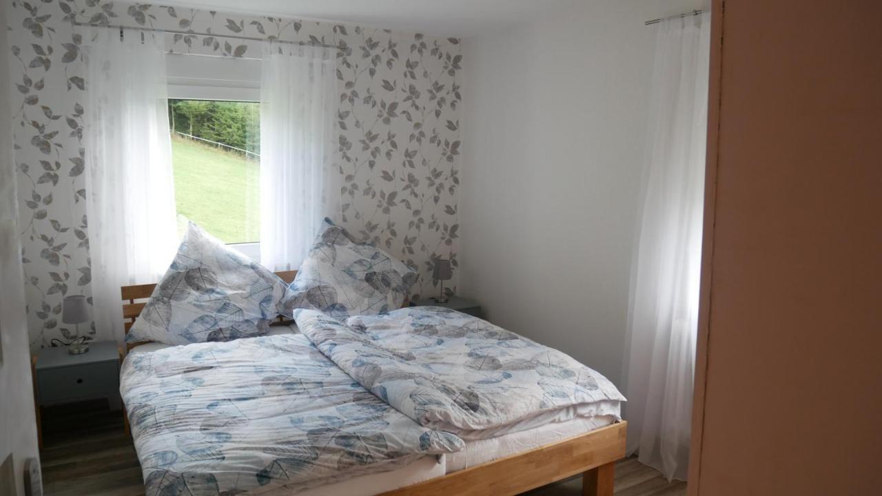 Modernisierte Ferienwohnung Im Schoenen Sauerland Meschede Extérieur photo