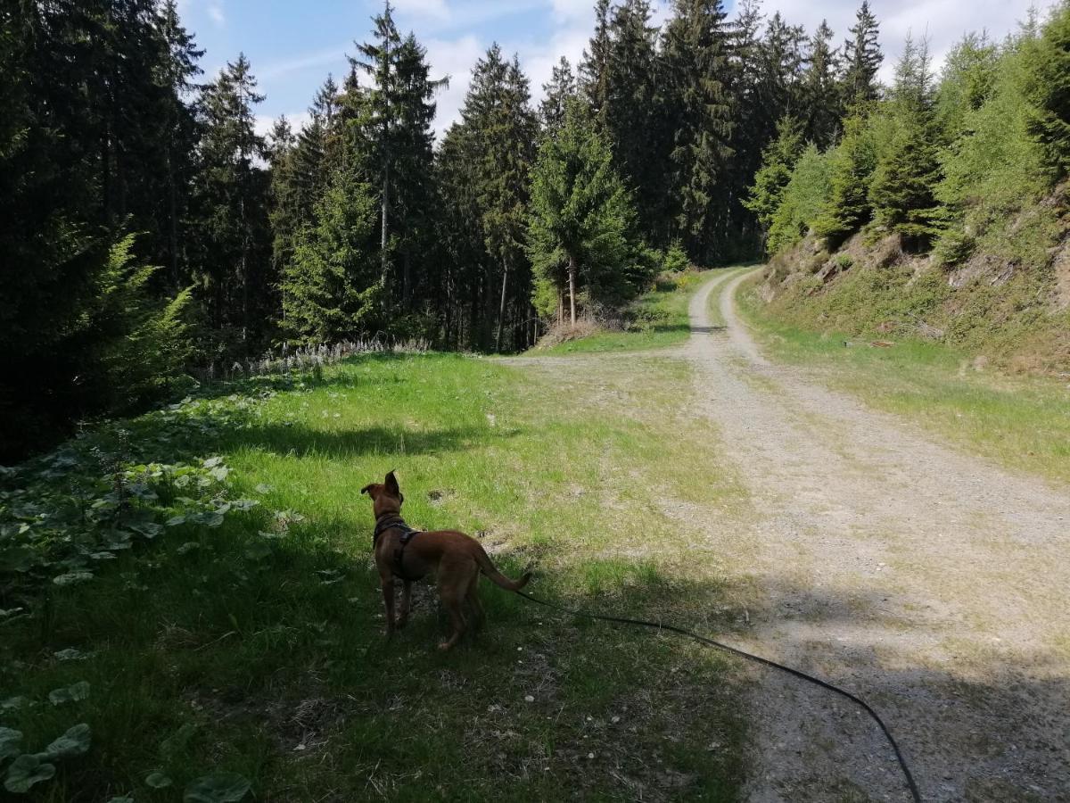 Modernisierte Ferienwohnung Im Schoenen Sauerland Meschede Extérieur photo